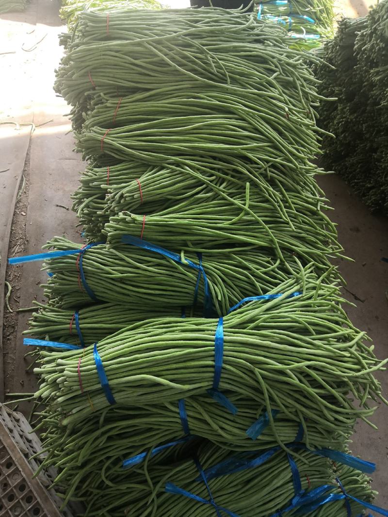 精品长豆角产地直销商超电商加工厂发货全国