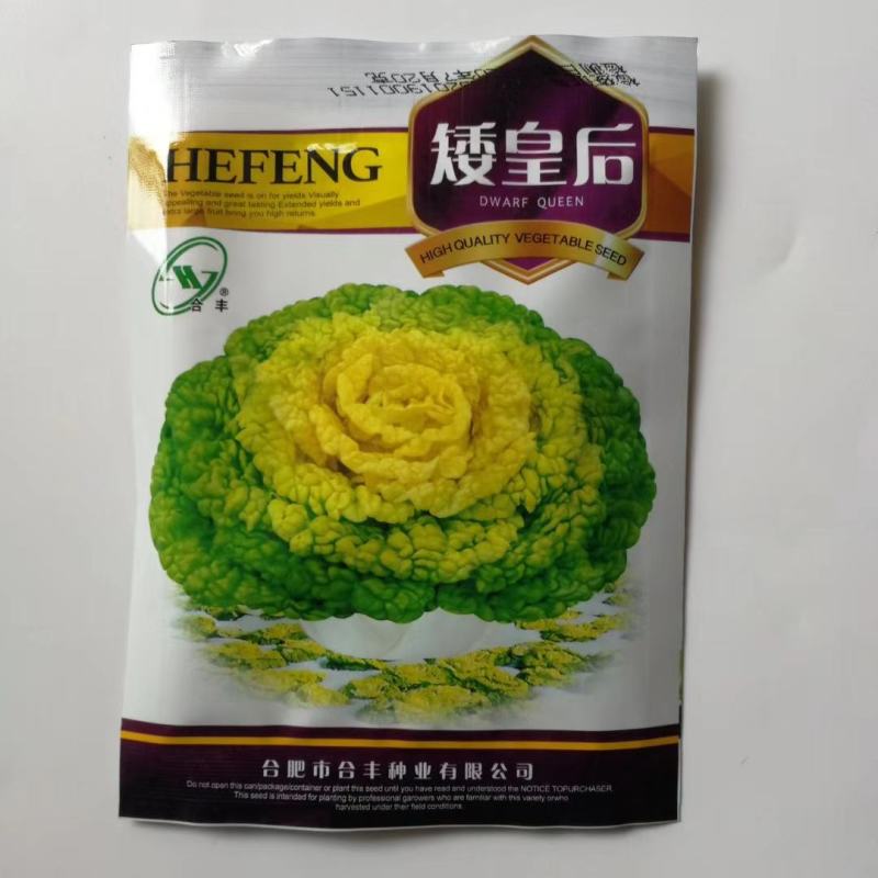 矮皇后白菜种子外叶亮绿色内叶金黄色耐寒性强