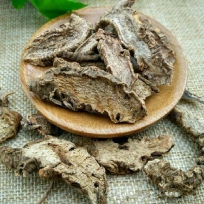 万年青根铁扁担货好量大要多了有优惠