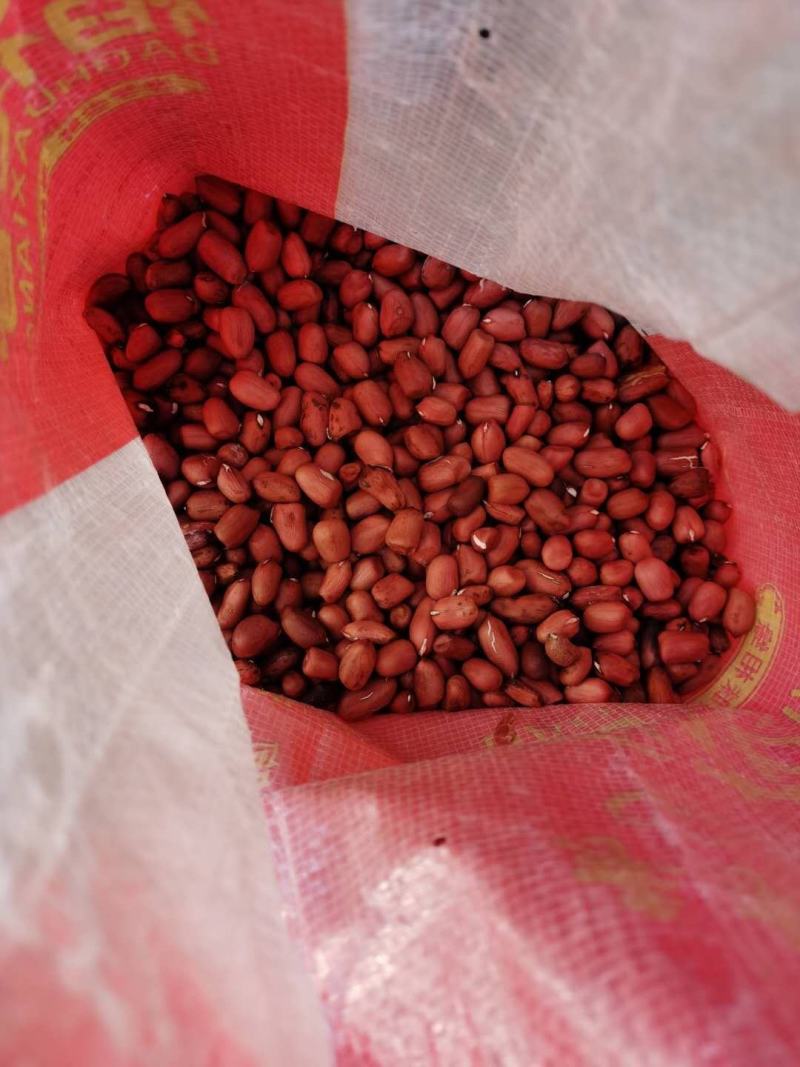 生鲜花生，红皮生花生，