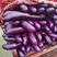 紫红长茄，适合走加工厂，保质保量可视频看货