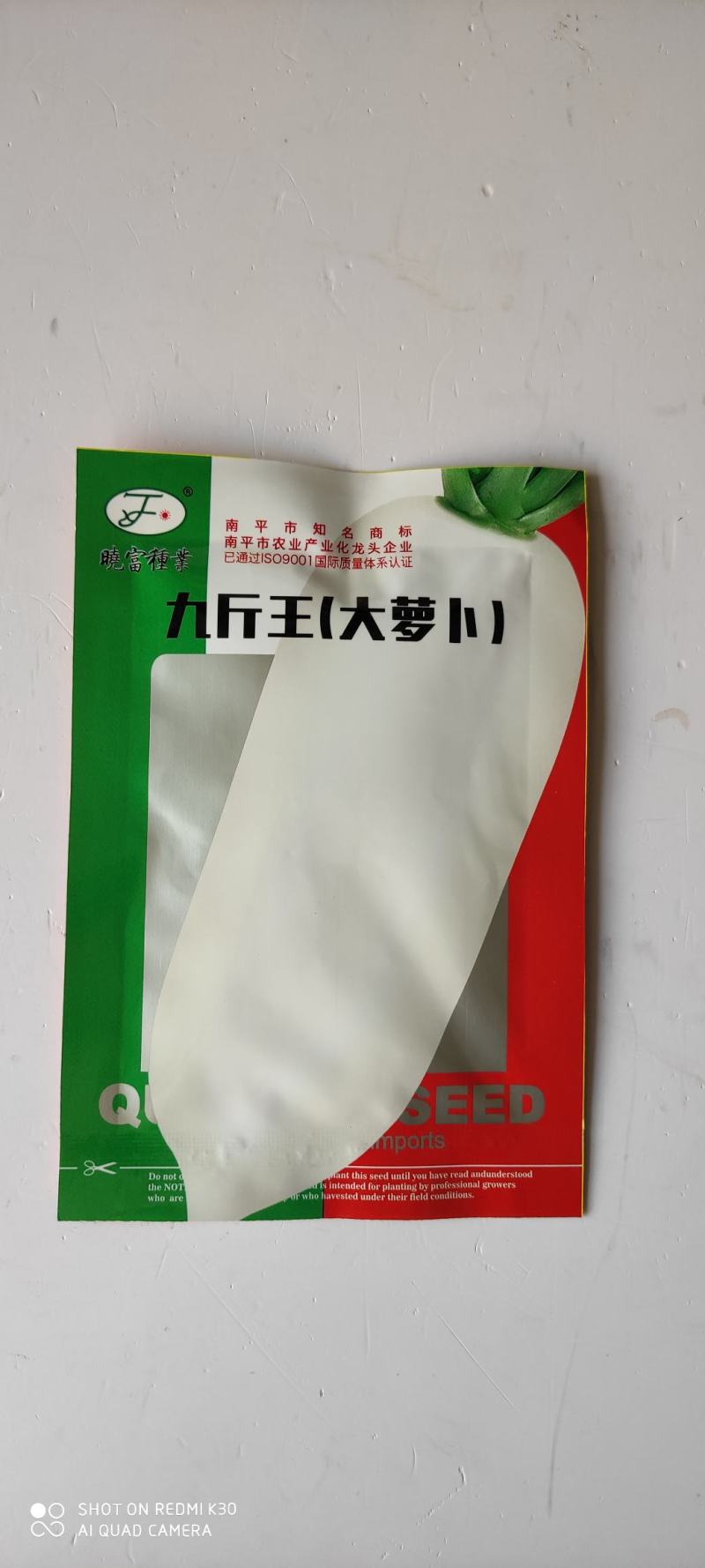 九斤王白皮萝卜种子中晚熟适应性广冬性强品质优良纤维少