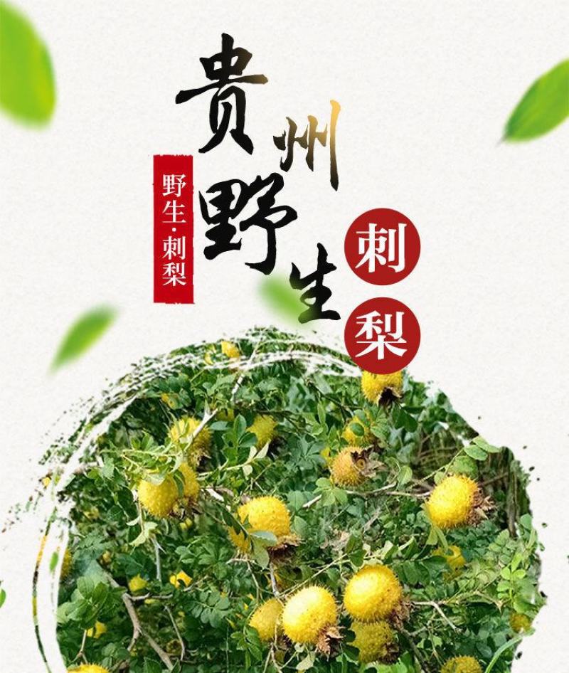 贵州2020新货野生新鲜刺梨