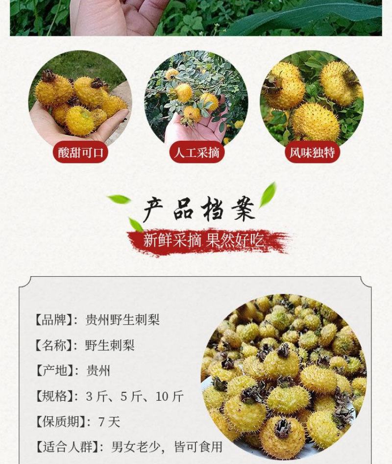 贵州2020新货野生新鲜刺梨