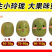 贵州2020新货野生新鲜刺梨