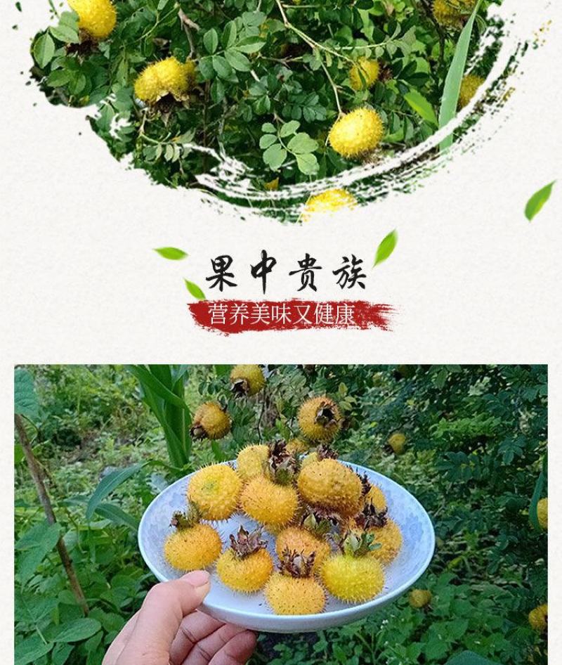 贵州2020新货野生新鲜刺梨