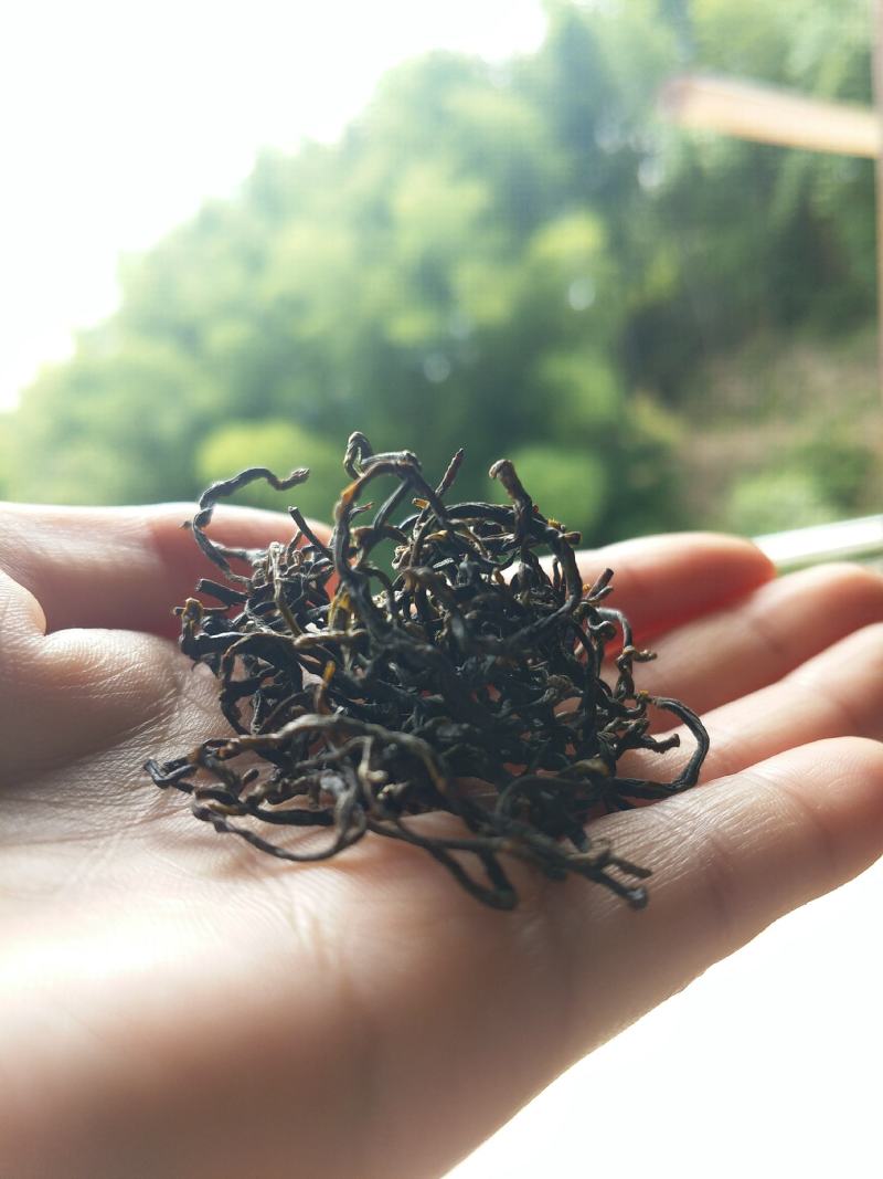 新货明前嫩芽龙井茶叶、新鲜春茶、高山鲜茶叶、龙井绿茶红茶