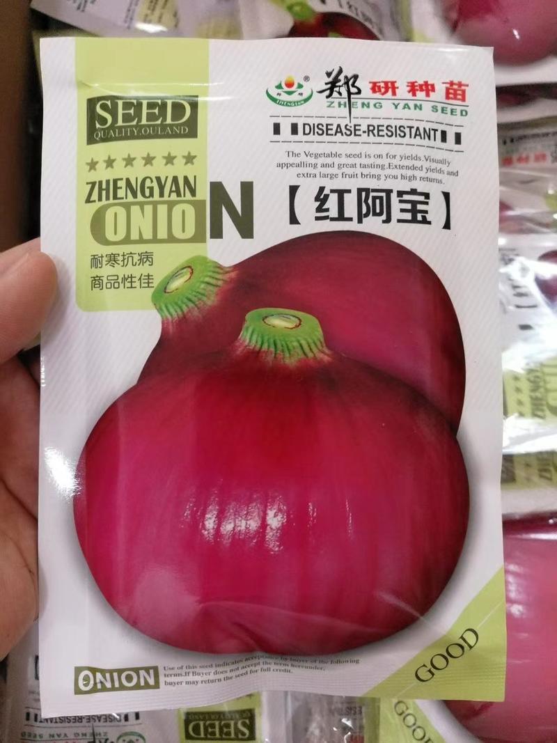 【精】资源紫禧，钻石红系列，红阿宝洋葱种子