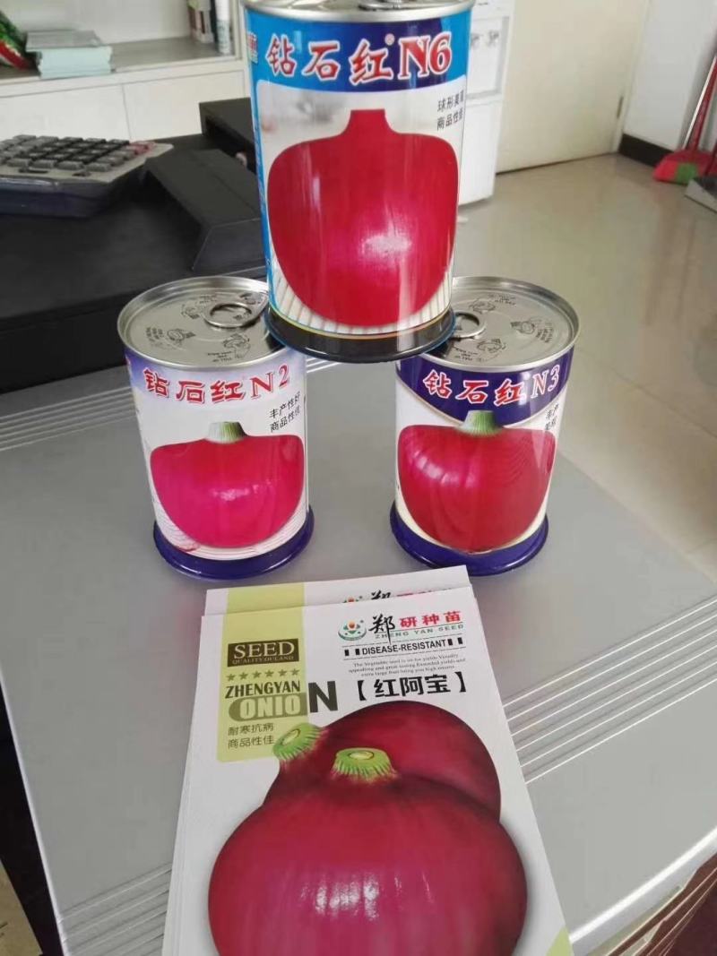 【精】资源紫禧，钻石红系列，红阿宝洋葱种子