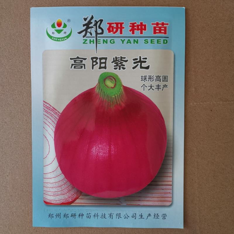 【精】资源紫禧，钻石红系列，红阿宝洋葱种子