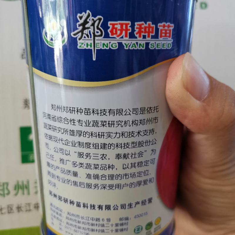 【精】资源紫禧，钻石红系列，红阿宝洋葱种子
