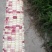 花糯玉米，基地直销，价格美丽，欢迎实地考察，代办勿扰