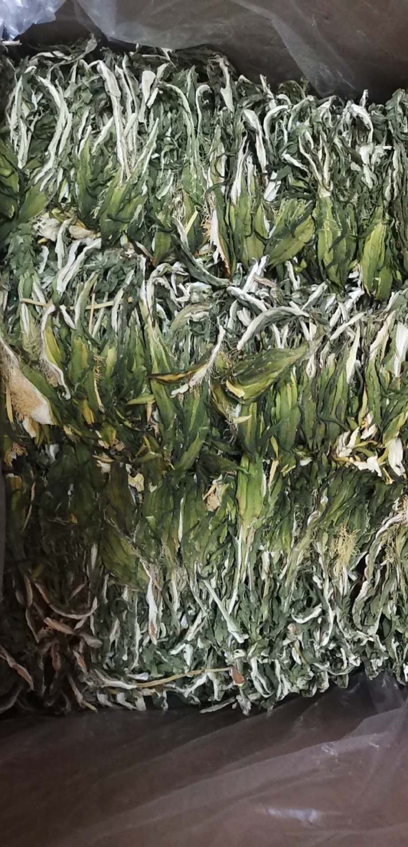 霸王花大量批发工厂直销质量稳定
