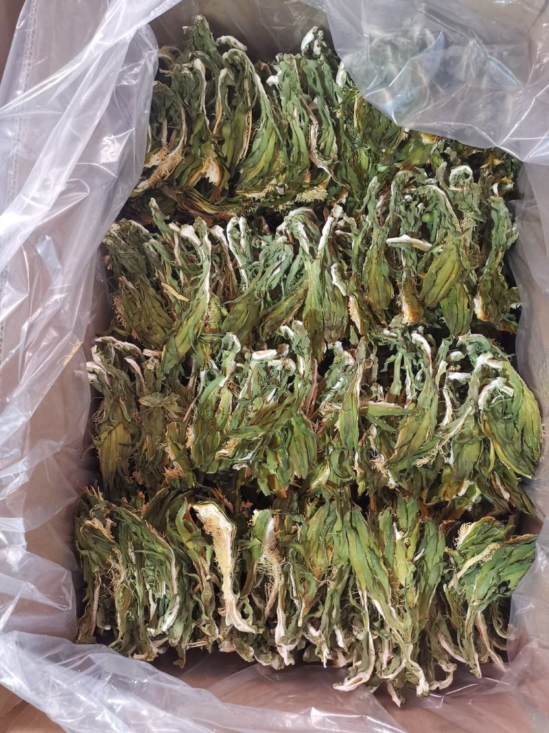 霸王花大量批发工厂直销质量稳定