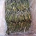 霸王花大量批发工厂直销质量稳定