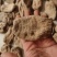 特级昭通天麻乌天麻足干云南天麻丽江红天麻包装天麻特大