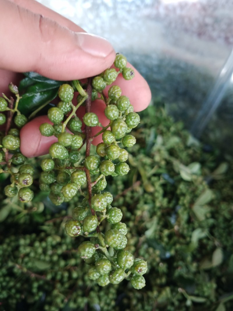农副产品，青花椒，本人自己种植
