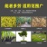手推式割草机多功能纯汽油小型微耕锄草机开荒松土机开沟机