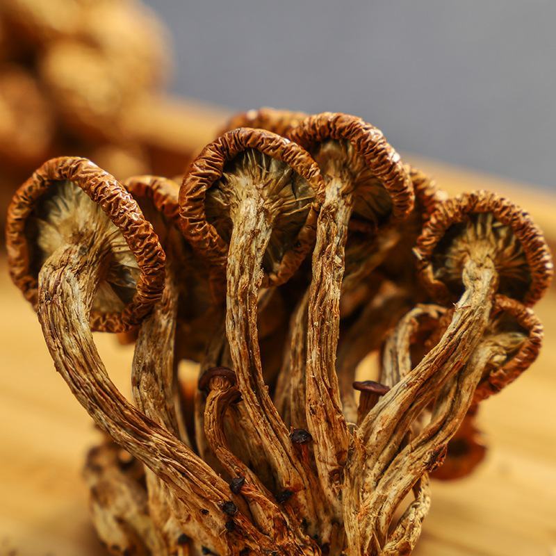 2020年头茬新货滑子菇干货特产滑子菇批发