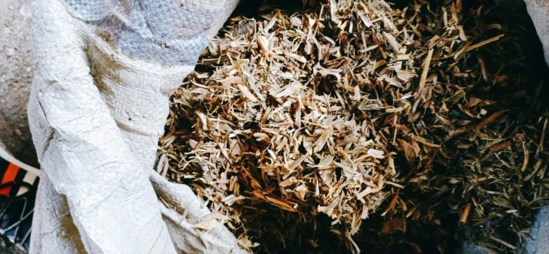 【有好货】优质豌豆秧，厂家直销，价格低廉，量大优惠！