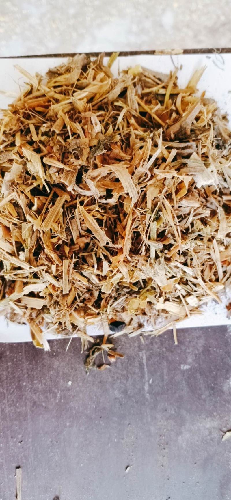 【有好货】优质豌豆秧，厂家直销，价格低廉，量大优惠！