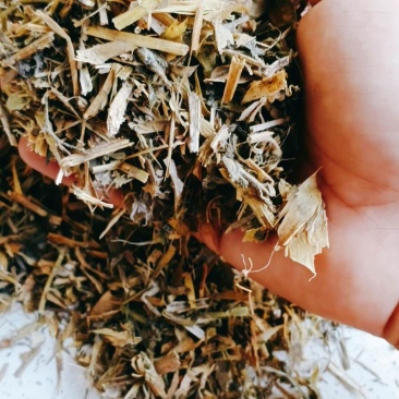 【有好货】优质豌豆秧，厂家直销，价格低廉，量大优惠！