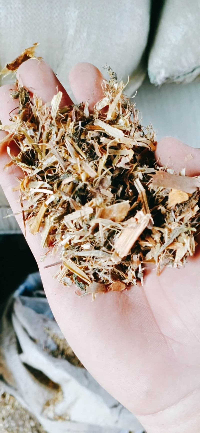 【有好货】优质豌豆秧，厂家直销，价格低廉，量大优惠！