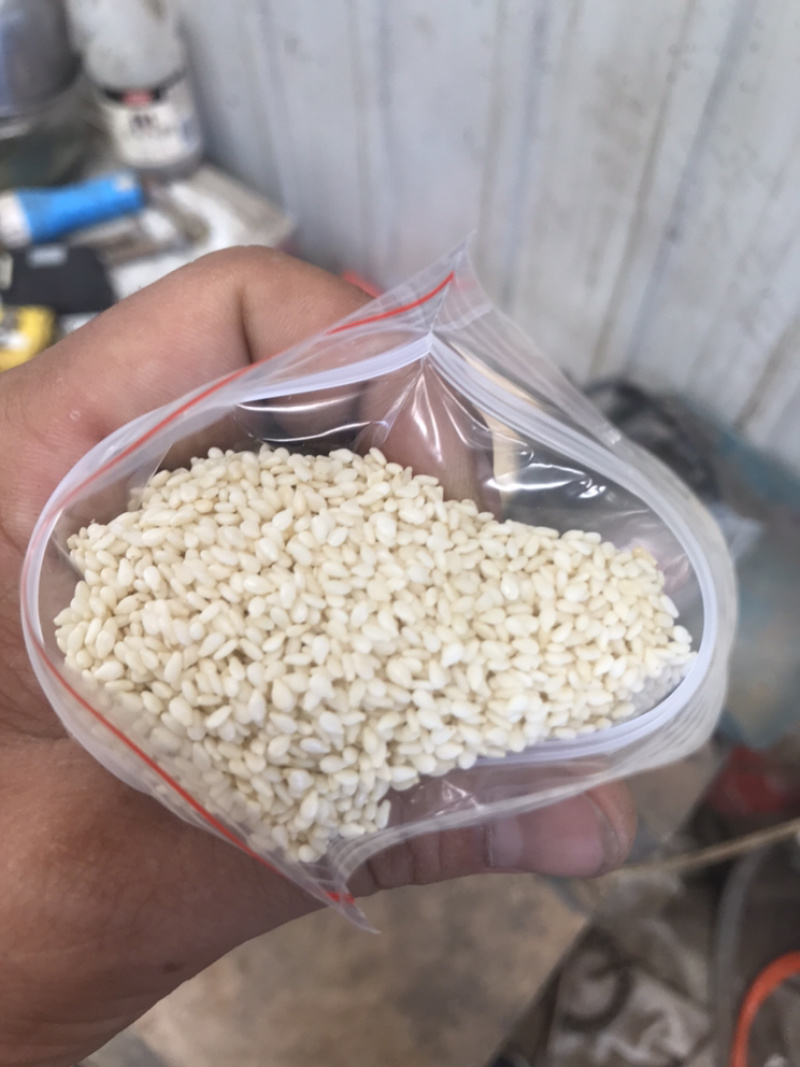 芝麻仁白芝麻黑芝麻芝麻酱香油