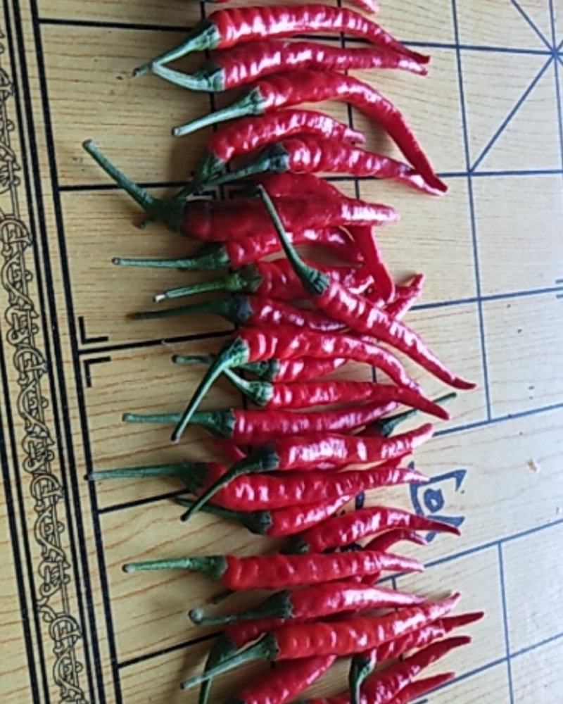鲜辣椒小米椒大辣椒干鲜都有