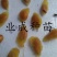 山刺番荔枝种子释迦种子海南红毛榴莲山刺番荔枝苗
