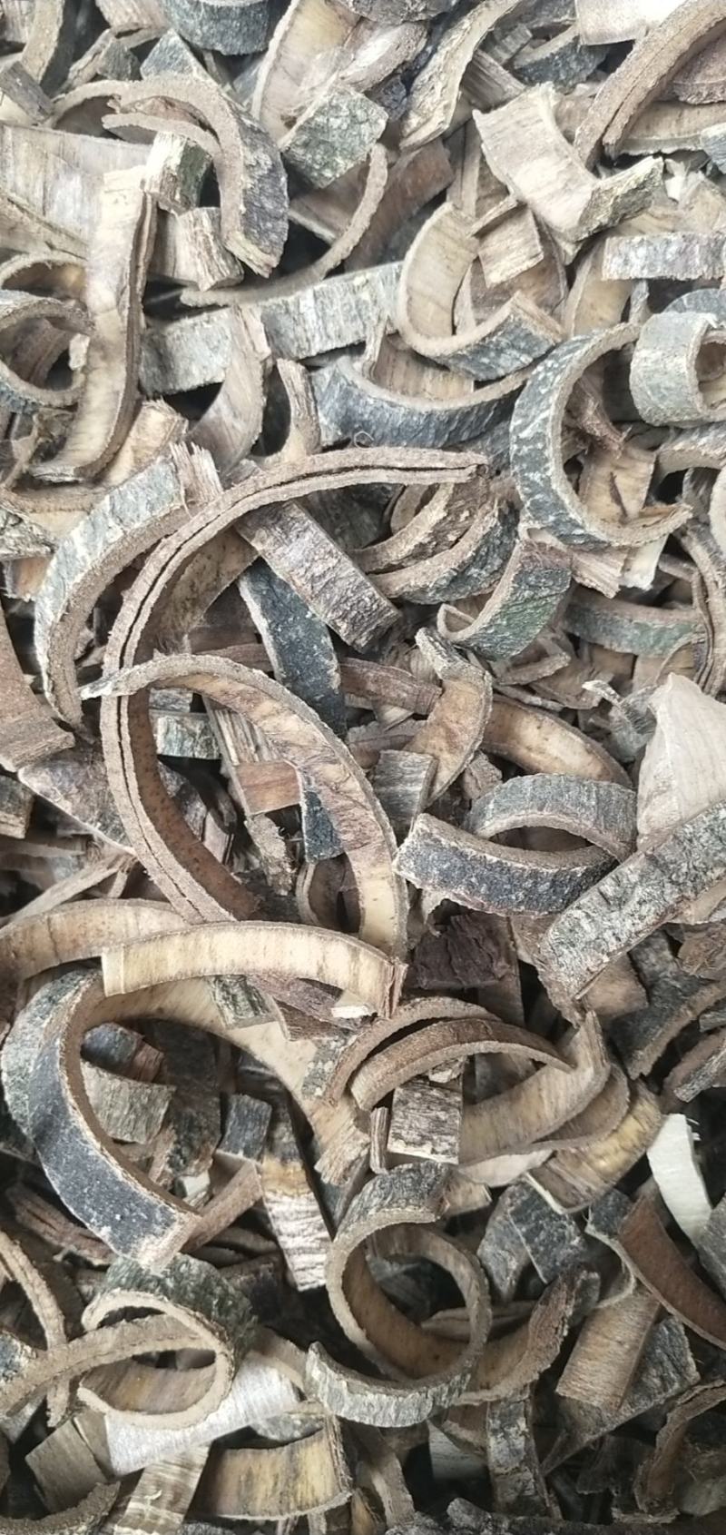 海桐皮（鲜皮加工的）