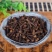 丁香5斤包邮免费磨粉公火锅料卤料特香料广西特产调味料级