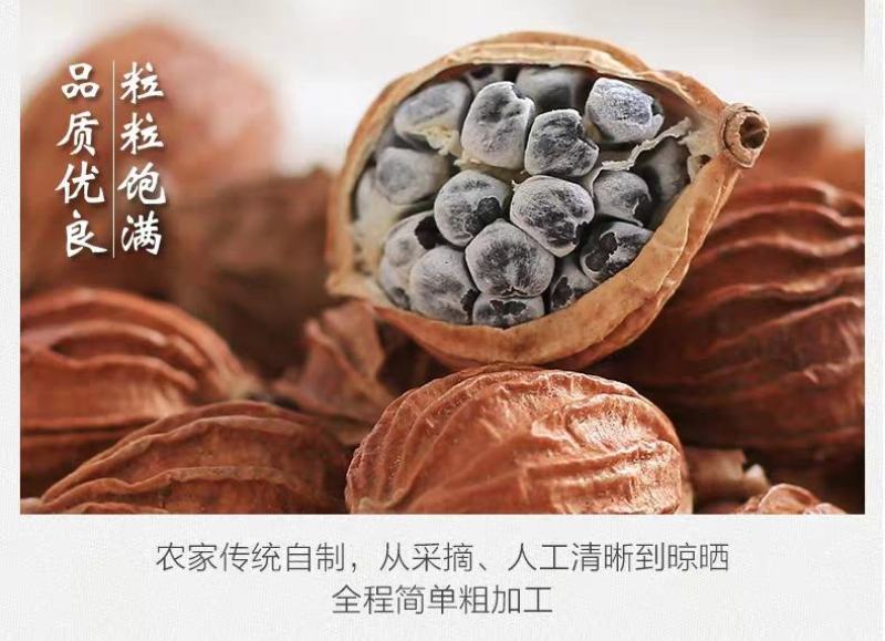 香砂仁四川优质调料卤肉品正炖菜香料免费磨粉五斤卤肉料理品