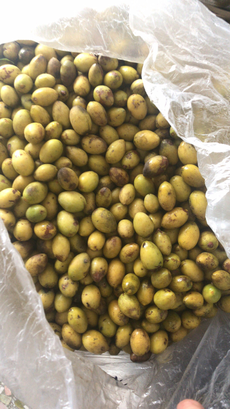新鲜花皮橄榄，支持线上交易