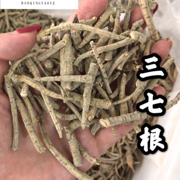 三七根三七保庆药业批发三七根实拍现货文山三七