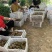 精品猕猴桃小桃产地直供香甜浓香品质优良。大量供应一手货源