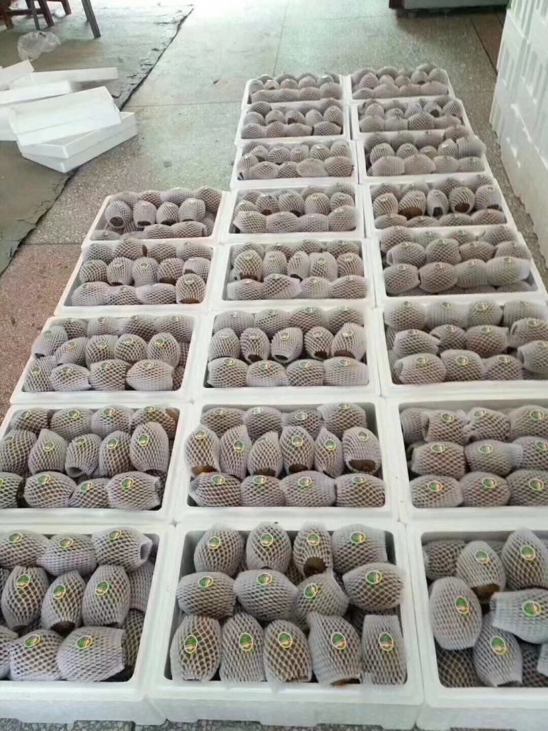 猕猴桃小桃，大量有货，啥品种都有。一手资源。