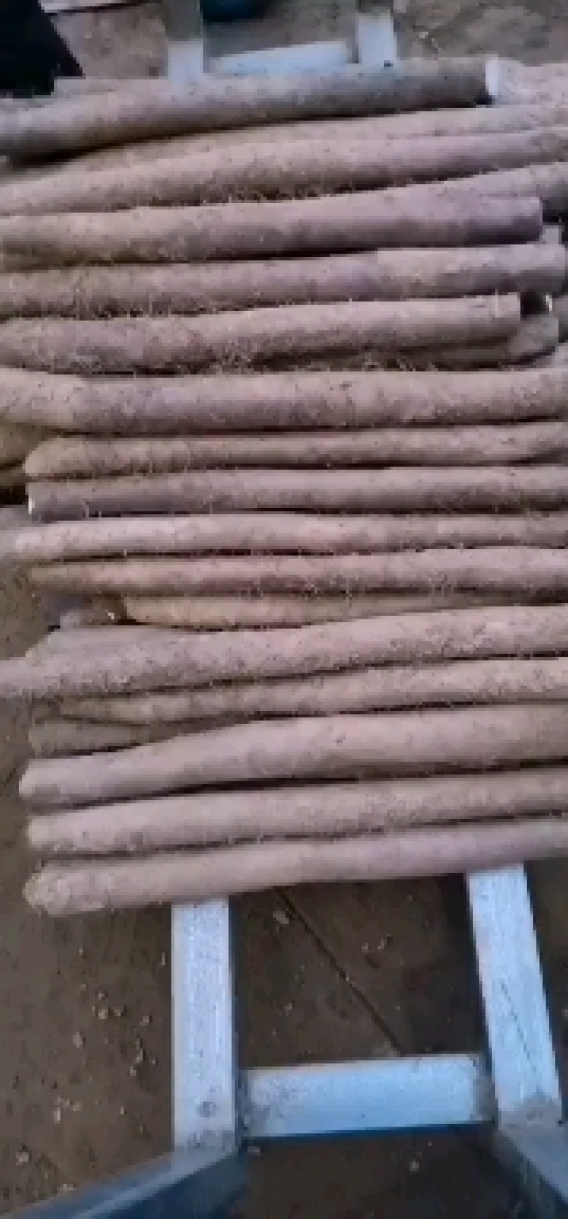 新白玉山药一件也代发