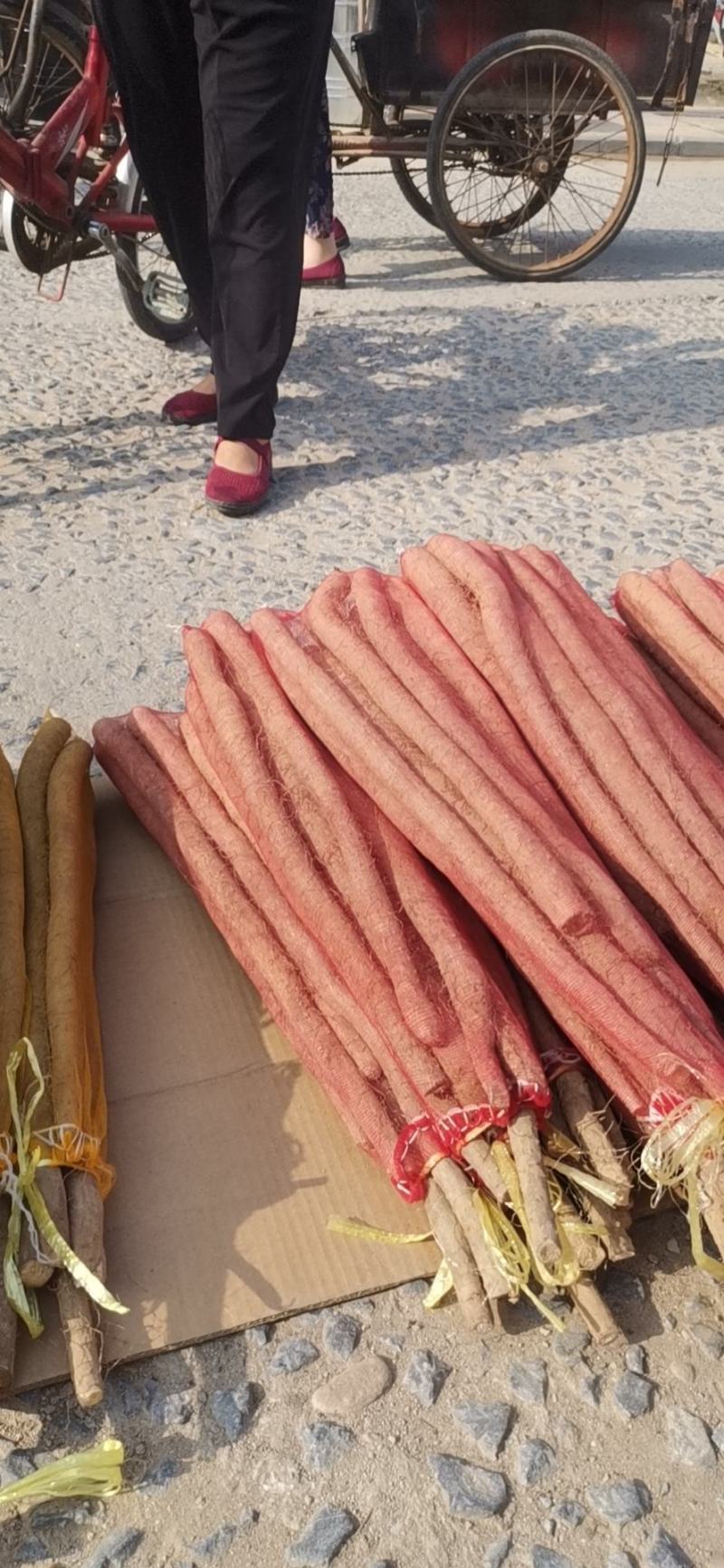 白玉麻山药细条货一件代发