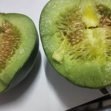 绿宝甜瓜