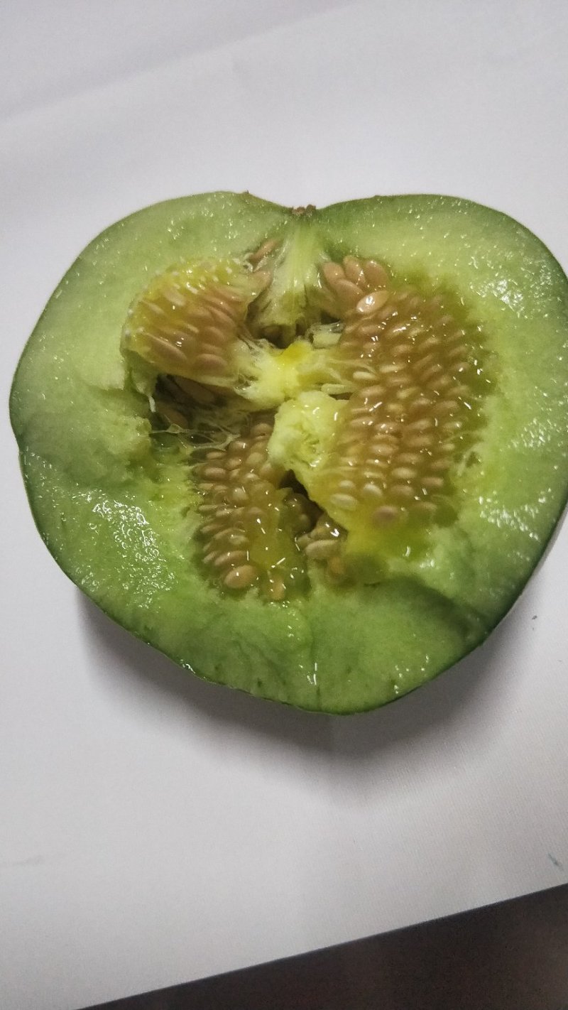 绿宝甜瓜