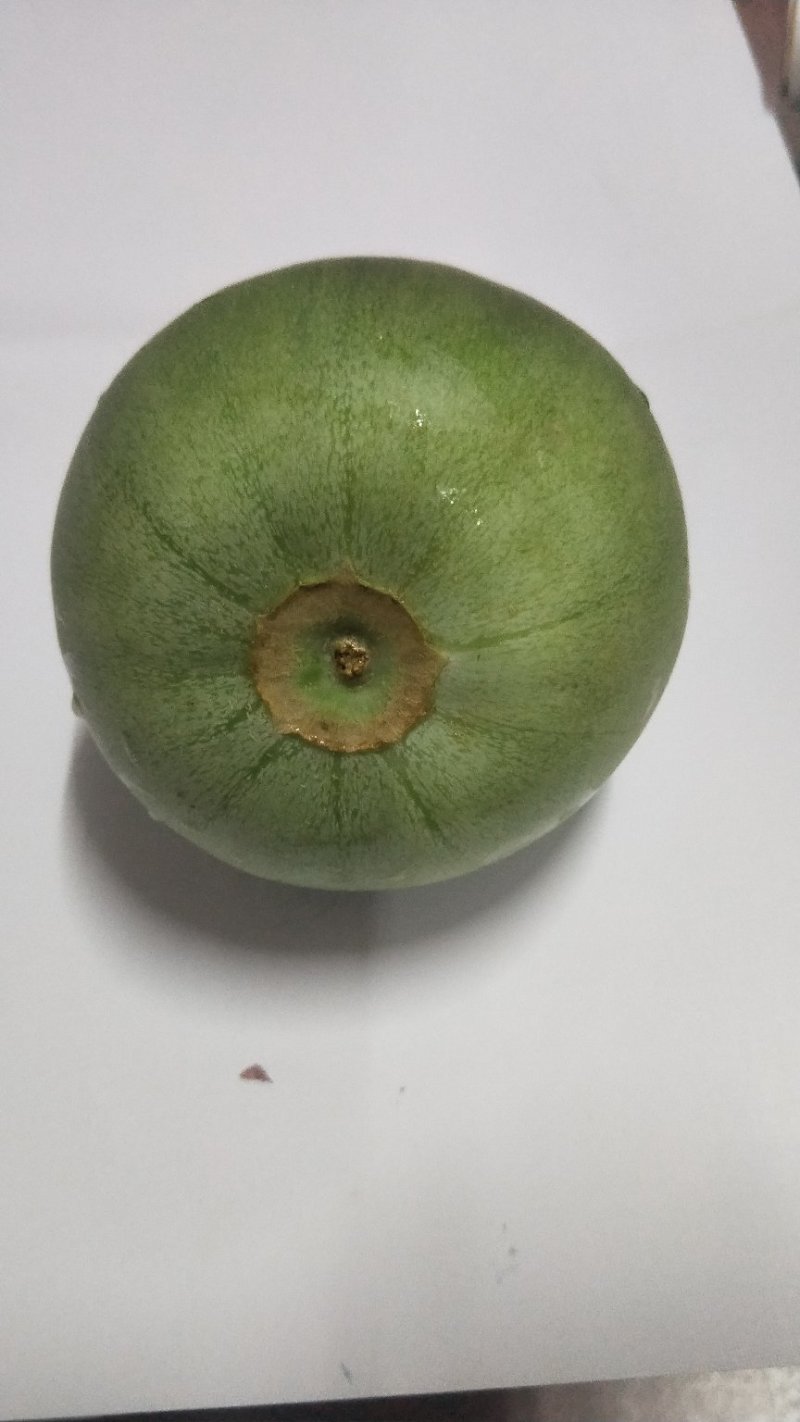 绿宝甜瓜