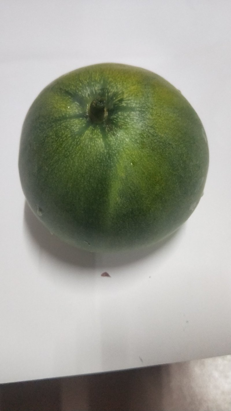 绿宝甜瓜