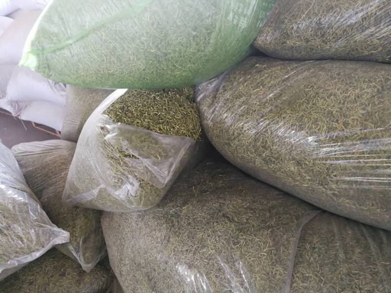 金银花色青花山东平邑地产，已色选无黄条,头茬包含量