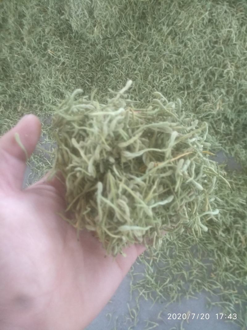 金银花色青花山东平邑地产，已色选无黄条,头茬包含量