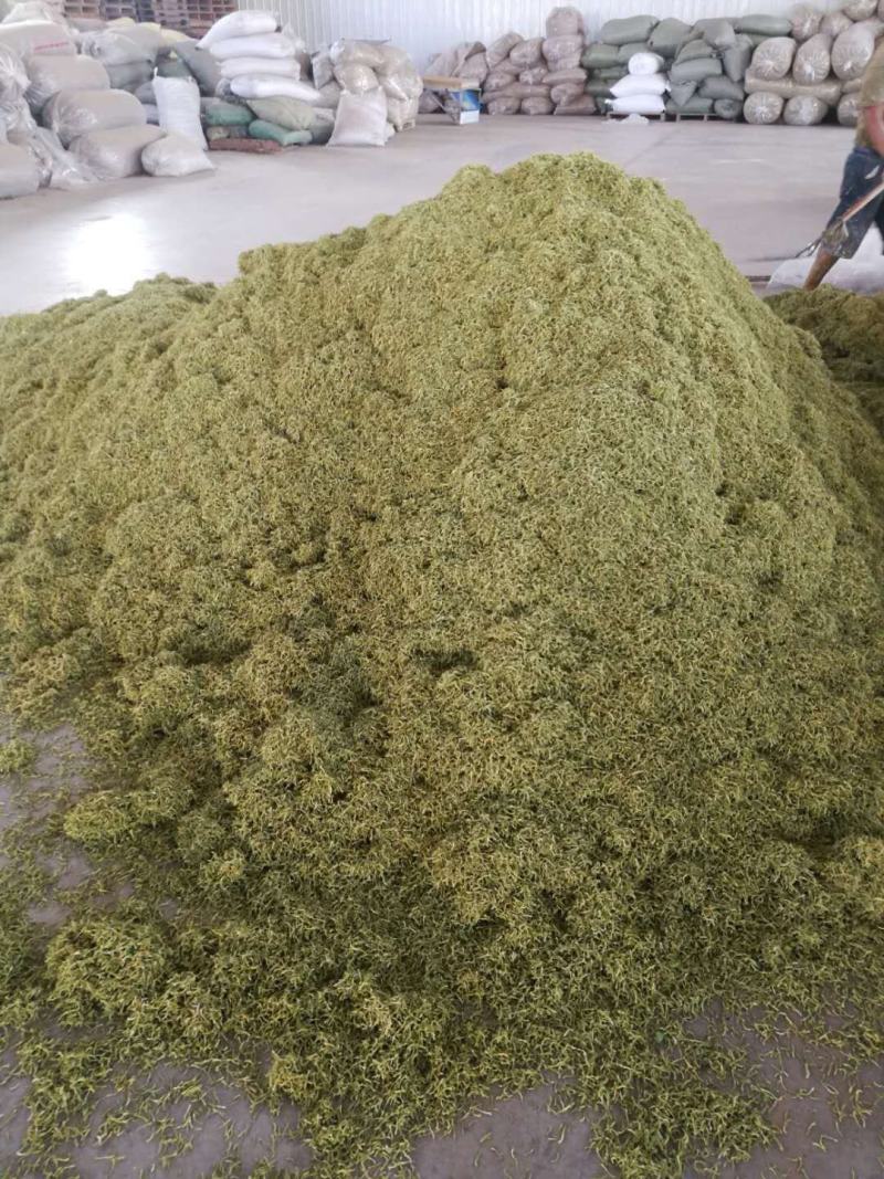 金银花色青花山东平邑地产，已色选无黄条,头茬包含量