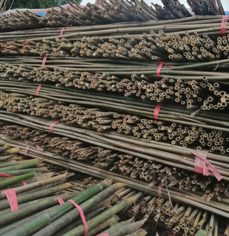 竹竿可以塔菜棚用途随便塔自家竹竿量大优惠