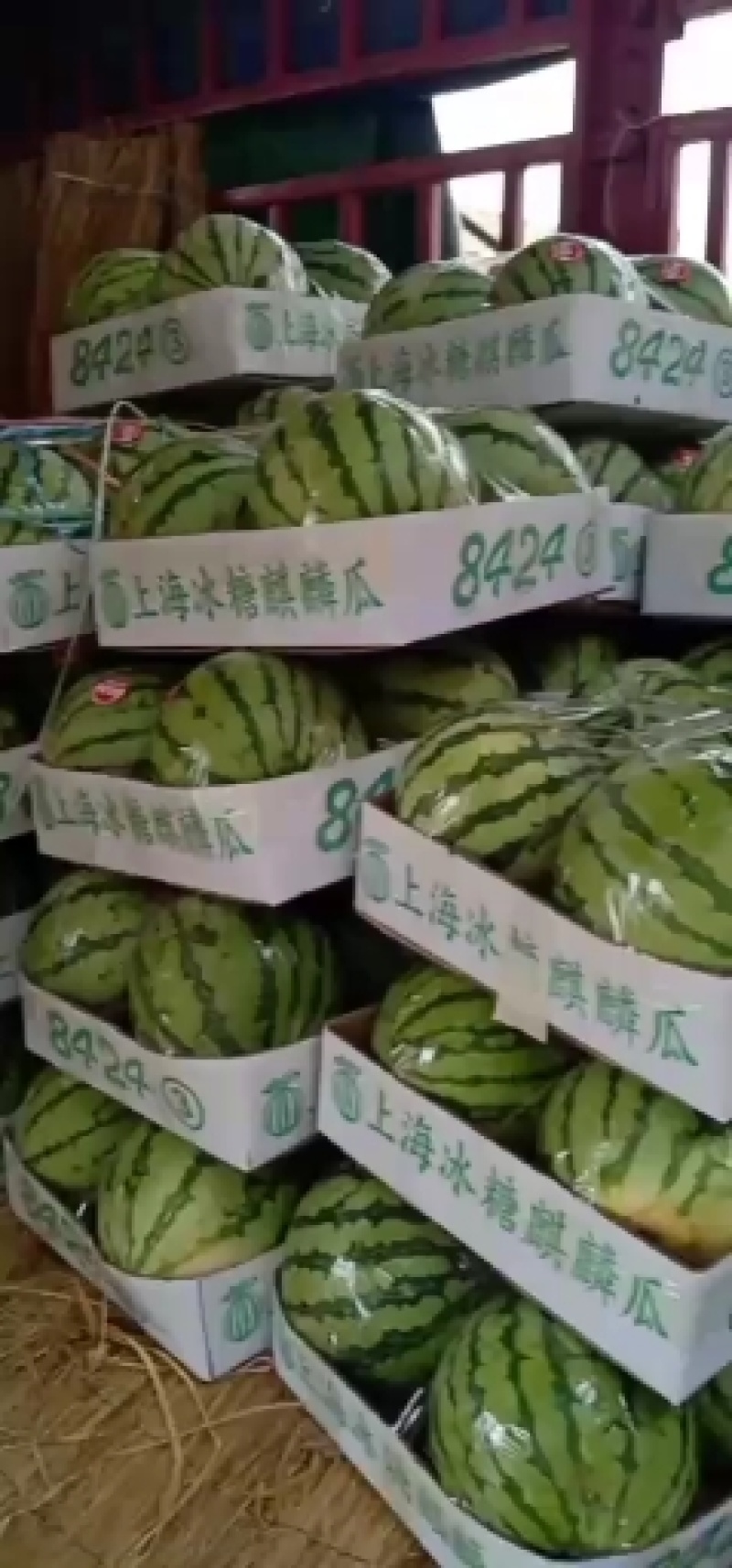 夏邑8424西瓜之乡，大量供应，一手货源