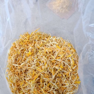 黄花菜，优质黄花菜，大量供应。