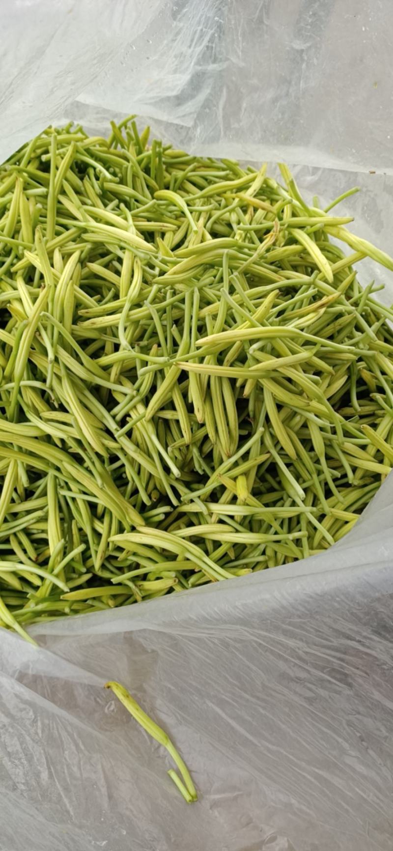 黄花菜，优质黄花菜，大量供应。